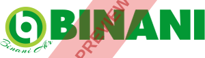 Binani Air Rectangular logo