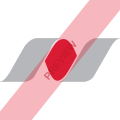 Northway Aviation Square logo