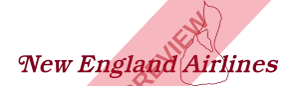New England Airlines Rectangular logo