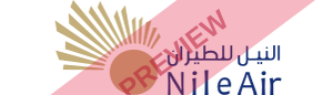 Nile Air Rectangular logo