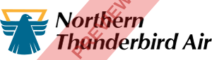 NT Air Rectangular logo