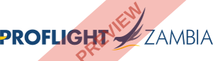 Proflight Zambia Rectangular logo