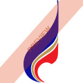 Bangkok Airways Square logo