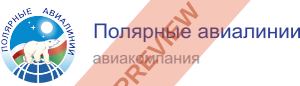 Polar Airlines Rectangular logo