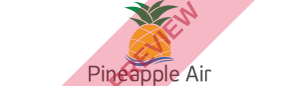 Pineapple Air Rectangular logo