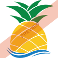 Pineapple Air Square logo
