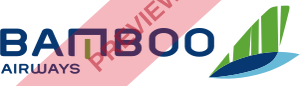 Bamboo Airways Rectangular logo