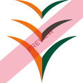 Ibom Air Square logo