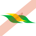 LASER Airlines Square logo