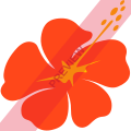 Aircalin Square logo