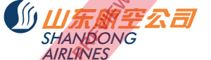 Shandong Airlines Rectangular logo