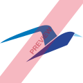 Cabo Flight Center Square logo
