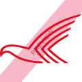 Siam Wings Airlines Square logo