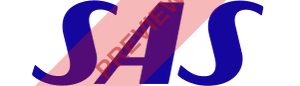 SAS Scandinavian Rectangular logo