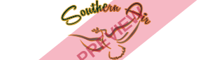 Southern Air Charter Rectangular logo