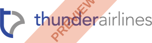 Thunder Airlines Rectangular logo
