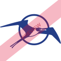 Tailwind Airlines Square logo