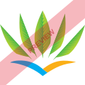 Air Caraibes Square logo