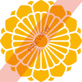 Myanmar National Airlines Square logo