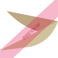 Fly Cham Square logo