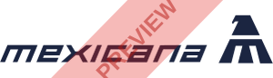 Manasik Aviation Rectangular logo