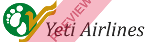 Yeti Airlines Rectangular logo