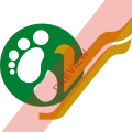 Yeti Airlines Square logo