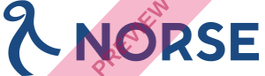 Norse Atlantic UK Rectangular logo